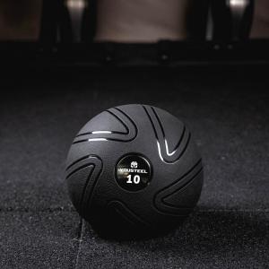 Купить Мяч для кроссфита EVO SLAMBALL 10 кг в Элисте 